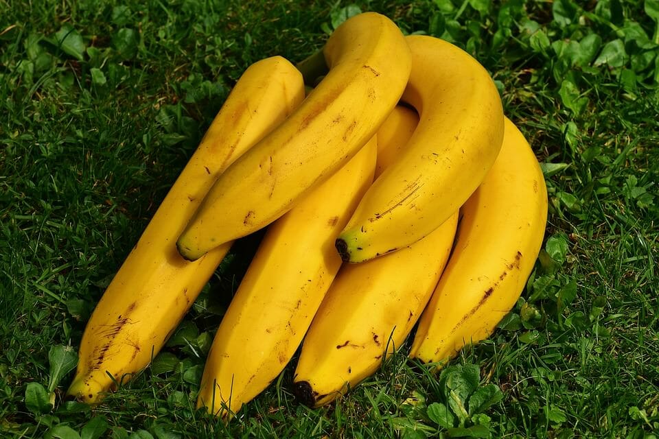 yellow bananas