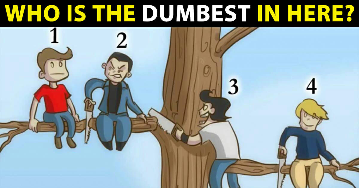 Who is the dumbest?