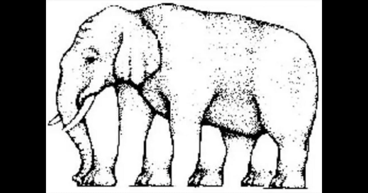 how many legs does this elephant have?